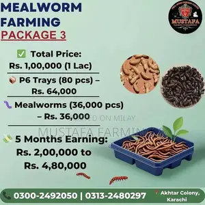Live Mealworms for Feeding Birds, Reptiles, Fish
