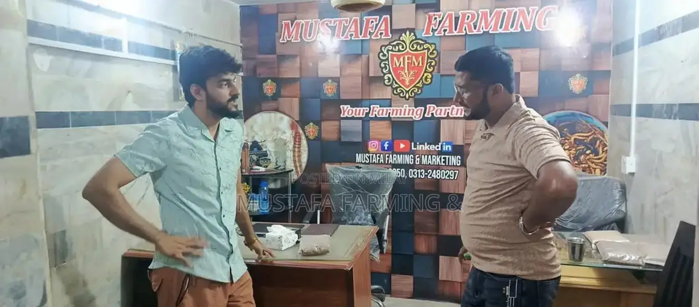 Live Mealworms for Feeding Birds, Reptiles, Fish