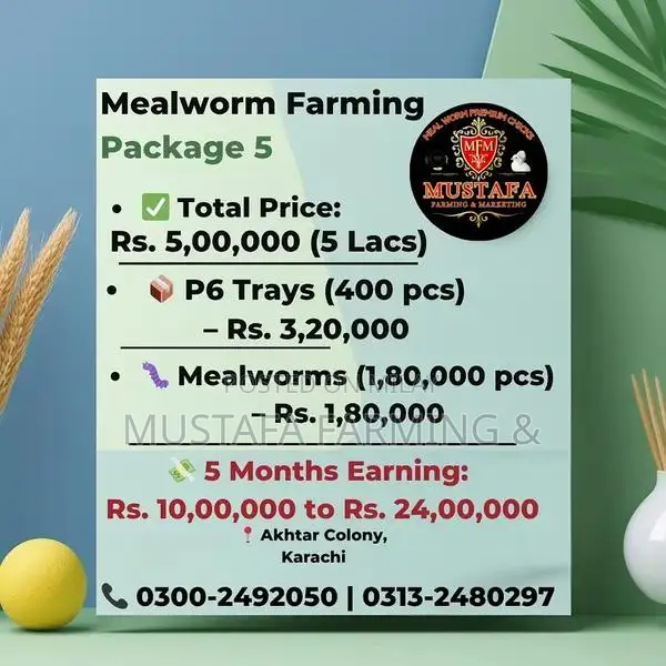 Live Mealworms for Feeding Birds, Reptiles, Fish