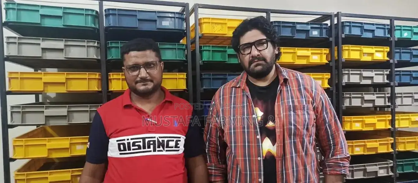 Live Mealworms for Feeding Birds, Reptiles, Fish