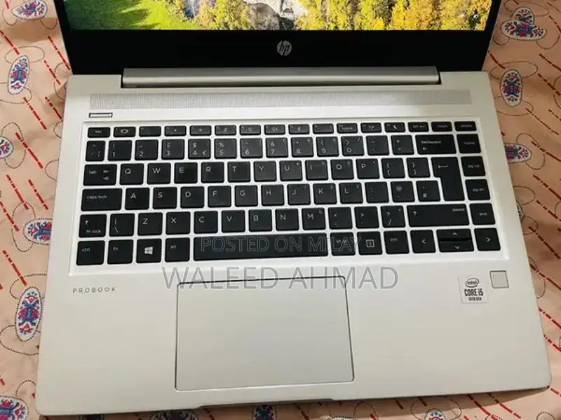 HP ProBook 440 G7 Laptop - 10th Gen Core i5, 16GB RAM, 256GB SSD