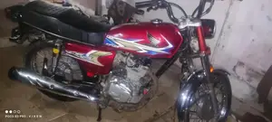 Photo - 2007 Motorcycle Model - Golden Series