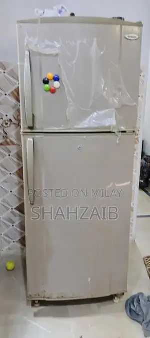 Photo - Large Refrigerator with Efficient Cooling System
