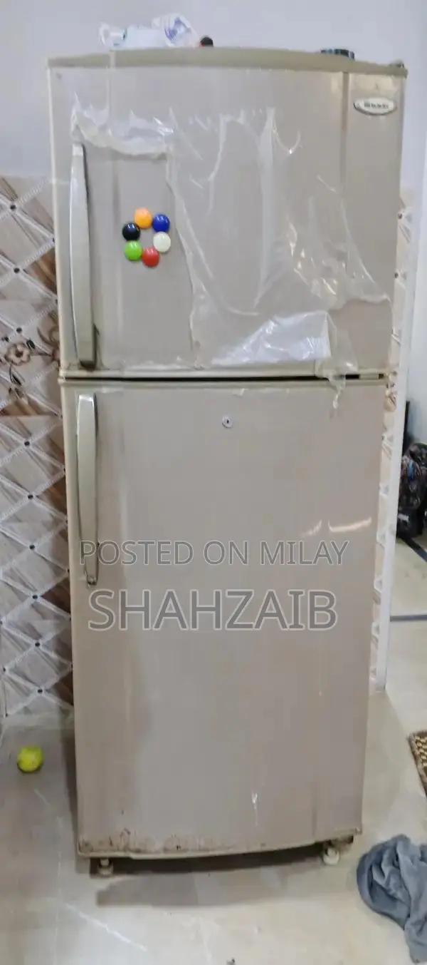 Large Refrigerator with Efficient Cooling System