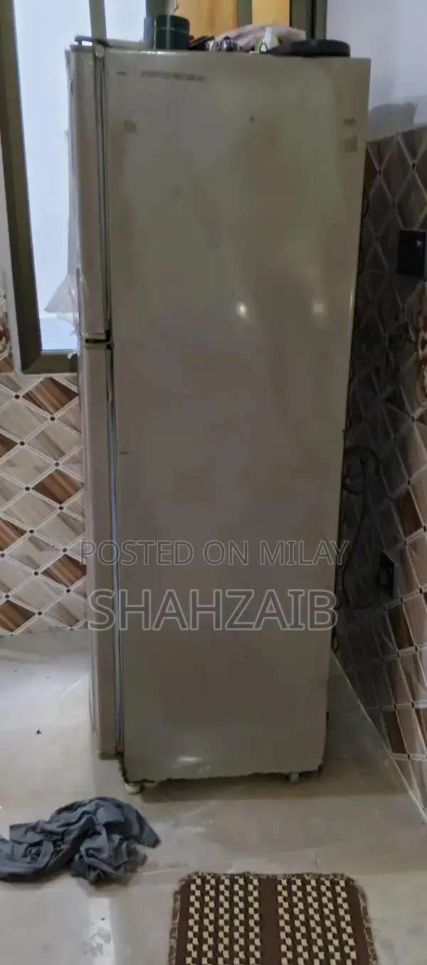 Large Refrigerator with Efficient Cooling System