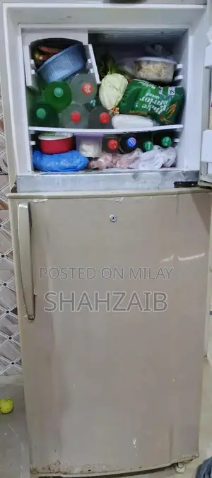 Large Refrigerator with Efficient Cooling System