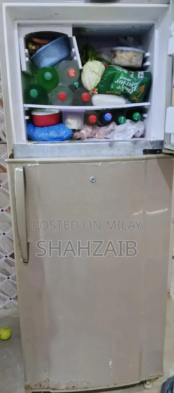 Large Refrigerator with Efficient Cooling System