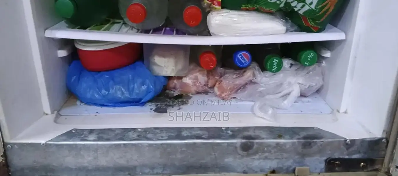 Large Refrigerator with Efficient Cooling System