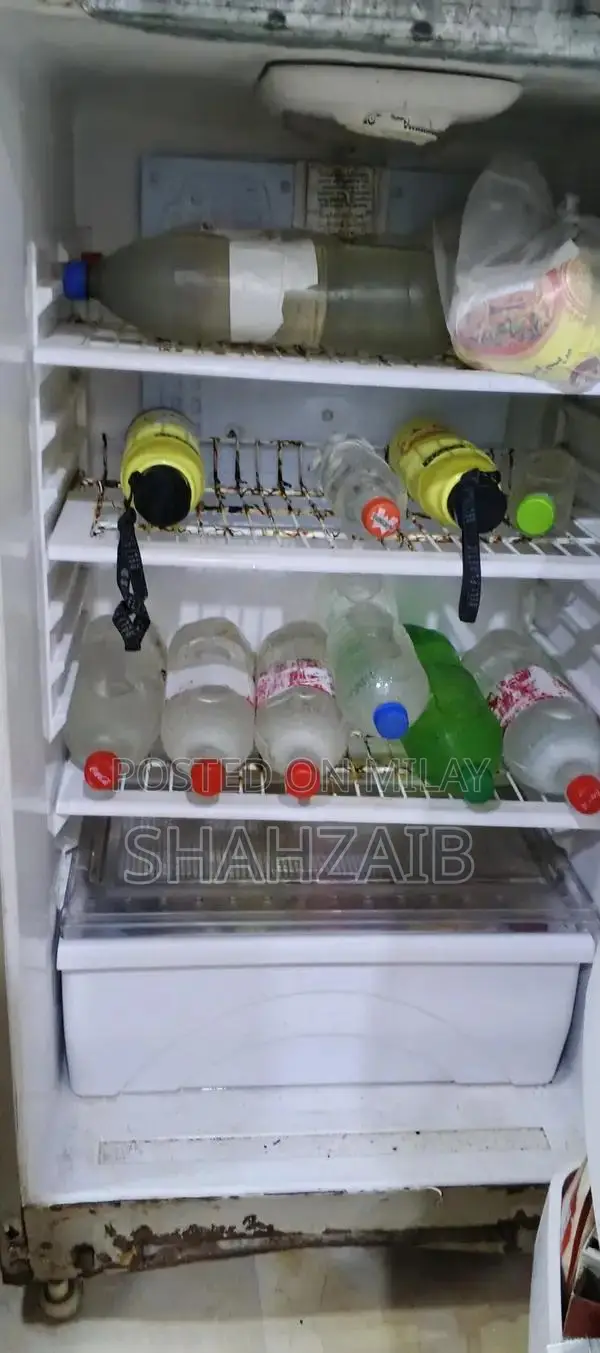 Large Refrigerator with Efficient Cooling System