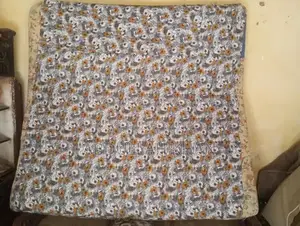 Used Double Bed Spring Mattress in Good Condition