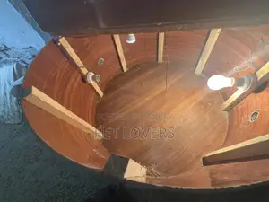 Professional Chicken Brooder - 2.75 Feet Round Capacity for 60-80 Chic