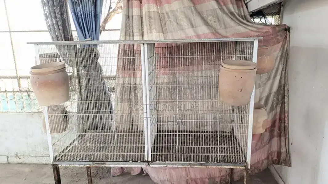 Large Colony Breeding Cage for Birds or Small Animals