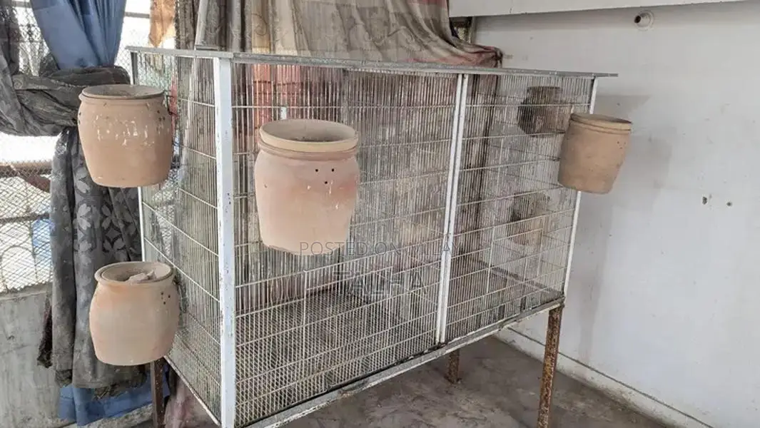 Large Colony Breeding Cage for Birds or Small Animals