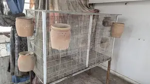 Large Colony Breeding Cage for Birds or Small Animals