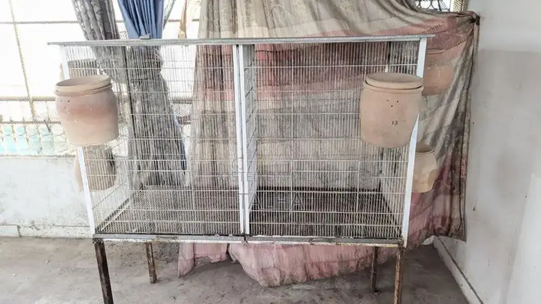 Large Colony Breeding Cage for Birds or Small Animals