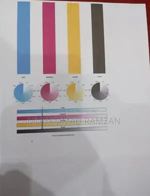 Espson 4150 new condition