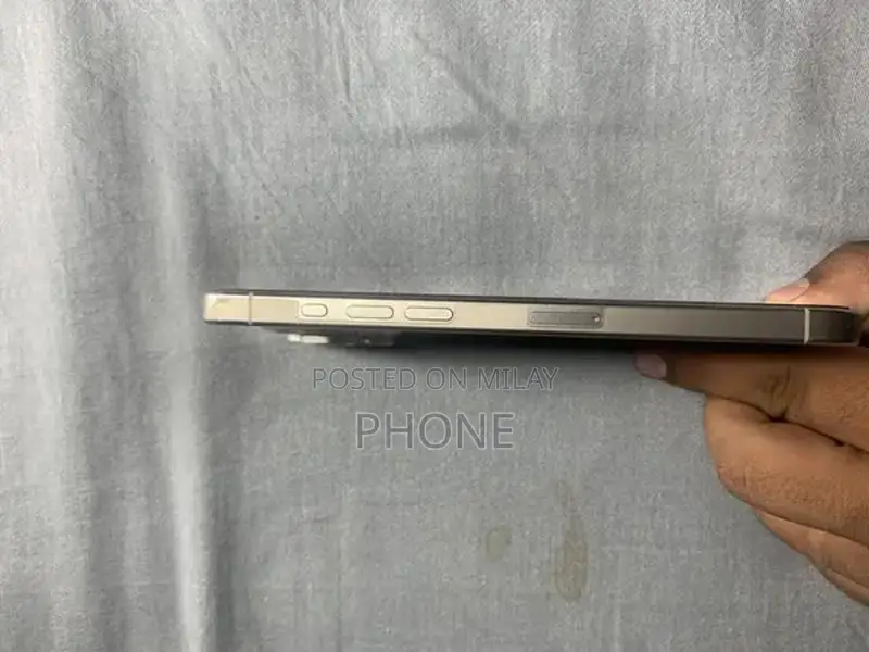 15 pro max factory unlock