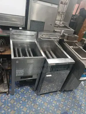 rinnai frayr imported