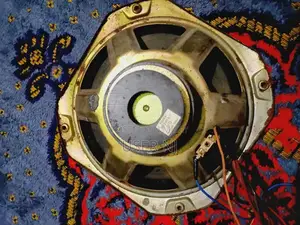 Photo - 10 Inch Woofer with Magnetic Sound System