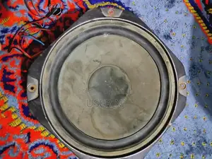 10 Inch Woofer with Magnetic Sound System