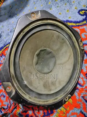 10 Inch Woofer with Magnetic Sound System