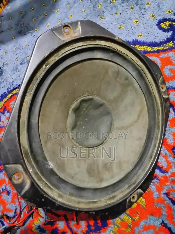 10 Inch Woofer with Magnetic Sound System