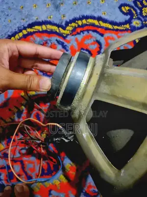 10 Inch Woofer with Magnetic Sound System