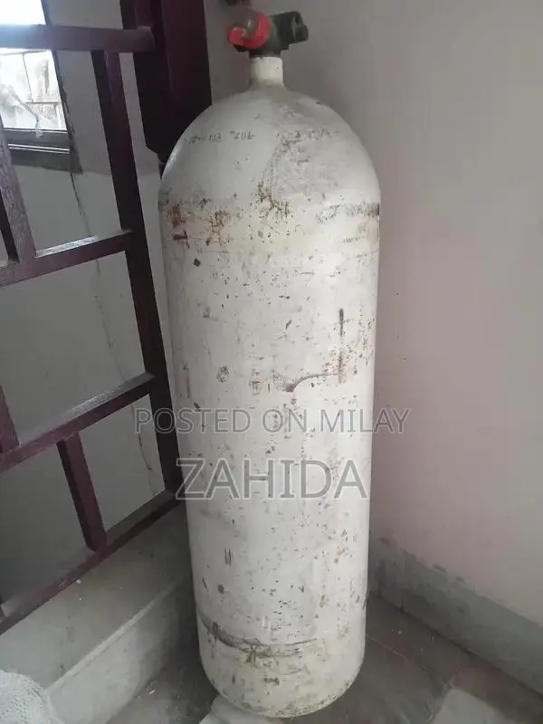 Suzuki moter salunder