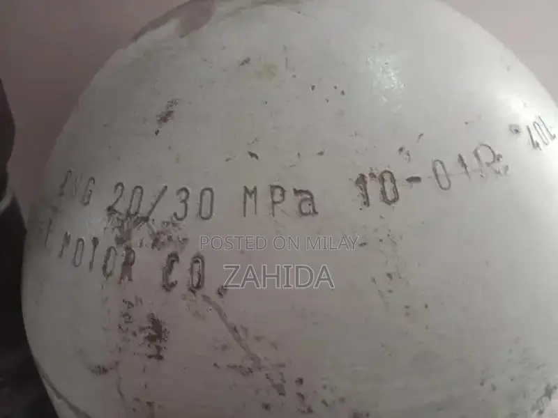 Suzuki moter salunder