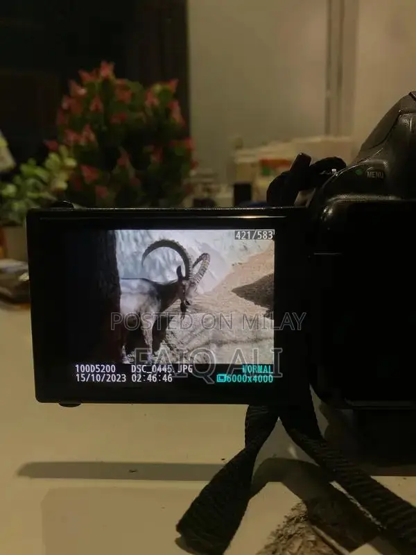 Nikon D5200 for sale