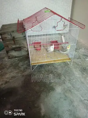 Photo - Cocktail Breeding Pair with Cage - Aviary Companion Birds