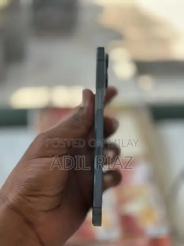 Professional Smartphone with Advanced Features and Large Display