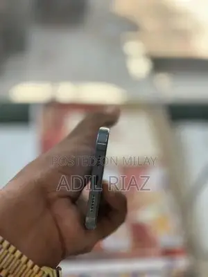 Professional Smartphone with Advanced Features and Large Display