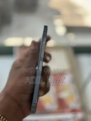 Professional Smartphone with Advanced Features and Large Display