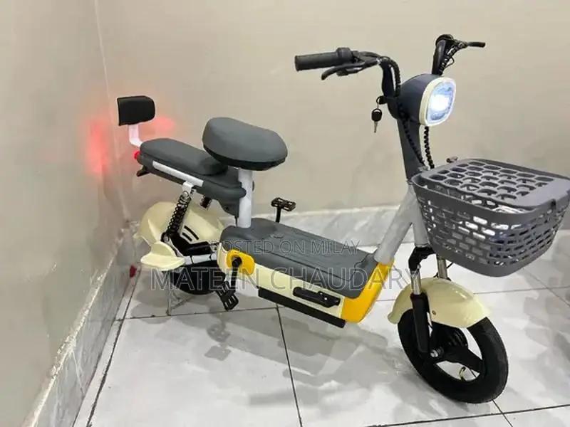 Electric scooty