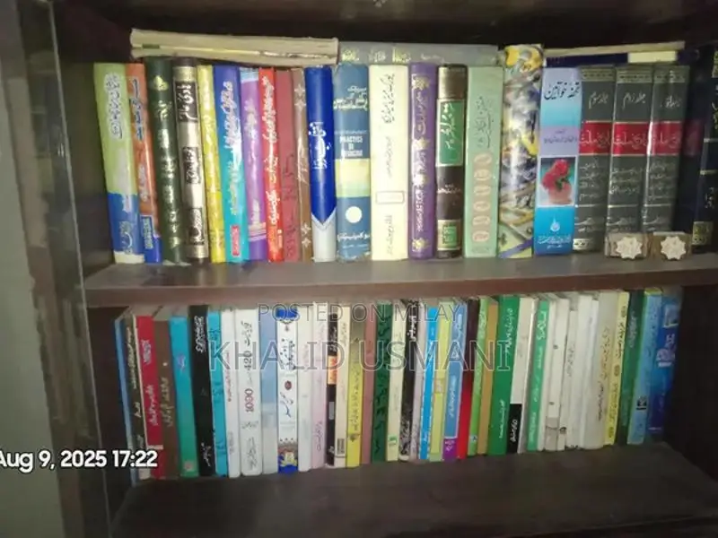 Diverse Book Collection: 500 Titles for Readers