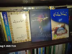 Diverse Book Collection: 500 Titles for Readers