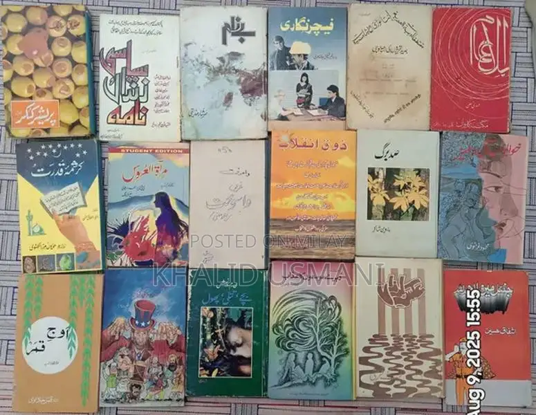 Diverse Book Collection: 500 Titles for Readers