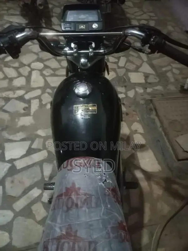 2024 Model Unique Vehicle - Mint Condition