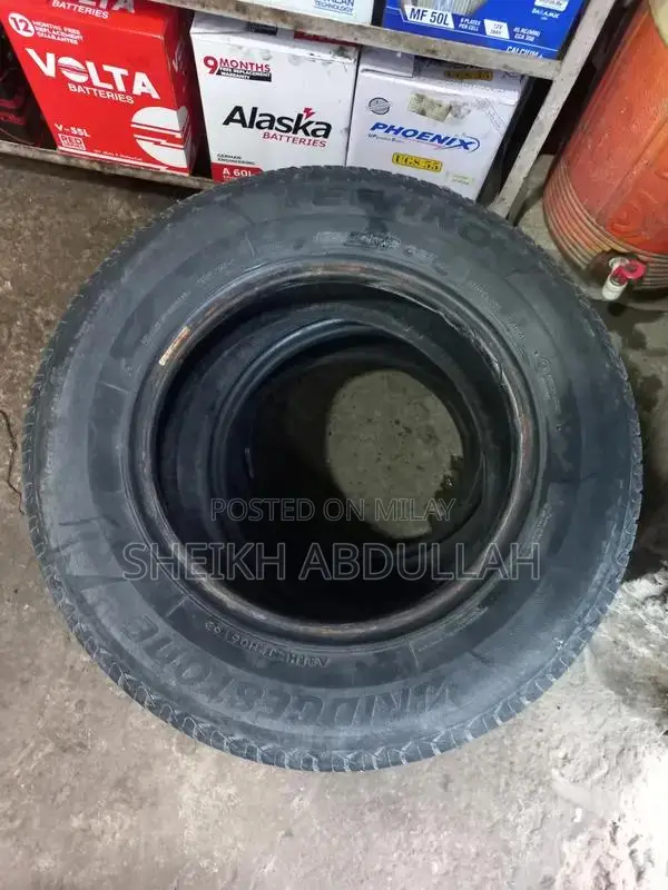 Bridgestone Techno Tyre R13