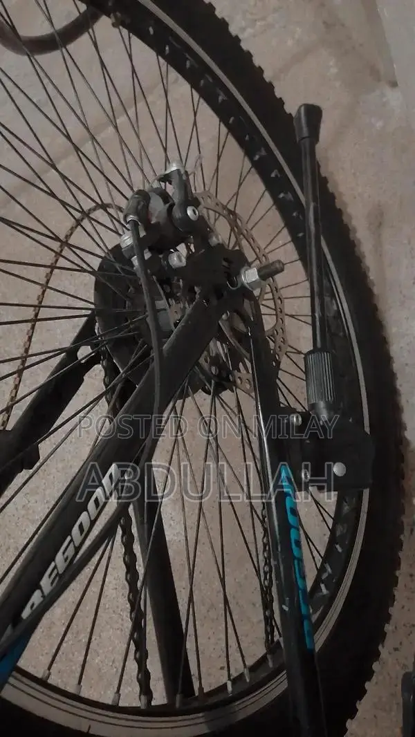 Comfortable Adjustable Bicycle with Metallic Stand