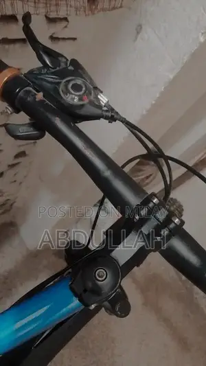 Comfortable Adjustable Bicycle with Metallic Stand