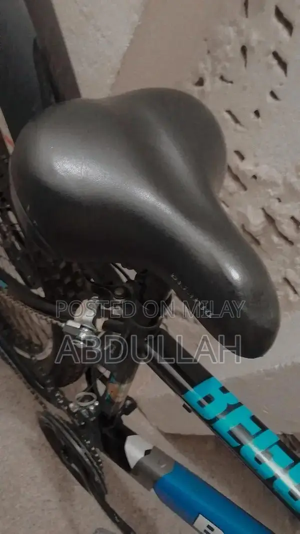 Comfortable Adjustable Bicycle with Metallic Stand