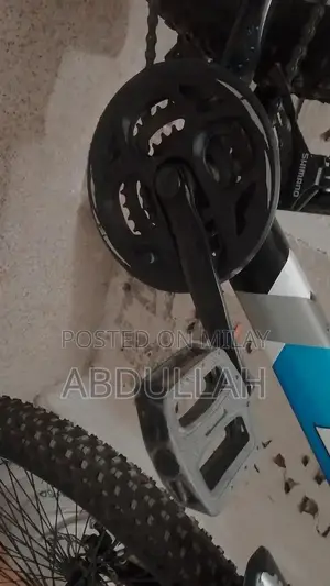 Comfortable Adjustable Bicycle with Metallic Stand