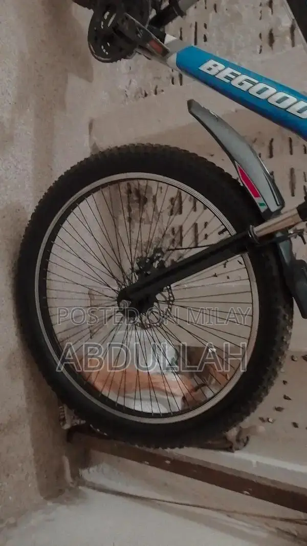 Comfortable Adjustable Bicycle with Metallic Stand