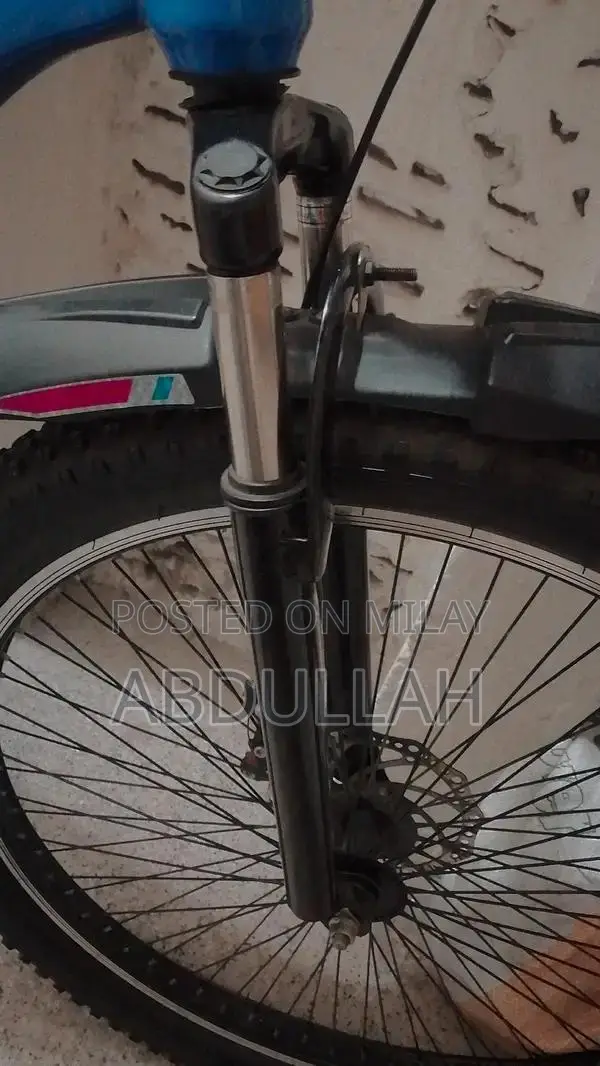 Comfortable Adjustable Bicycle with Metallic Stand