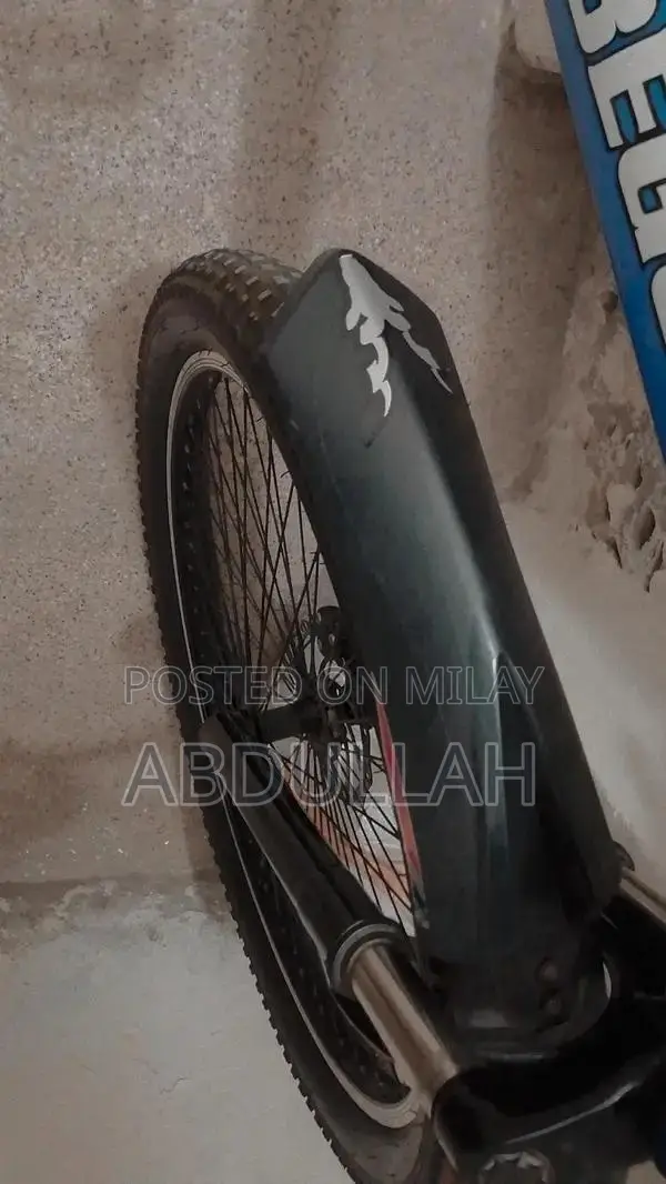 Comfortable Adjustable Bicycle with Metallic Stand