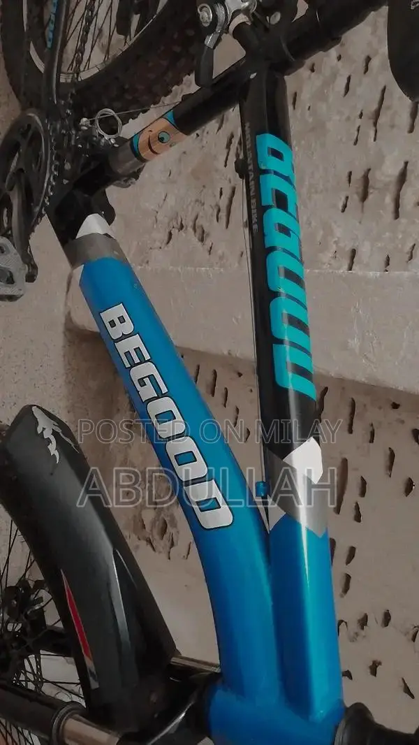 Comfortable Adjustable Bicycle with Metallic Stand