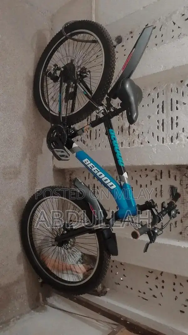 Comfortable Adjustable Bicycle with Metallic Stand