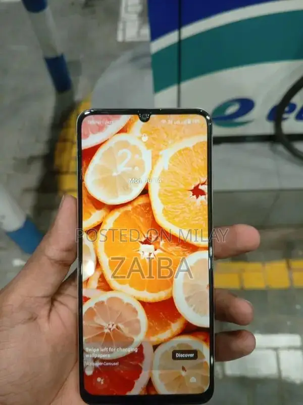 High Performance Mobile Device with Robust Memory